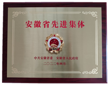 喜報(bào)省級(jí)表彰！熱烈祝賀安徽盛世新能源材料科技有限公司榮獲 “安徽省先進(jìn)集體”